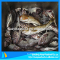 frozen price of good fat greenling